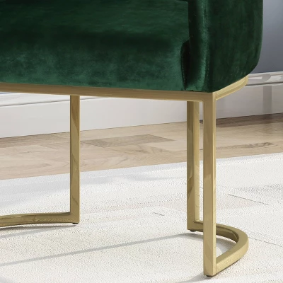 McDonough Modern Tufted Glam Accent Chair - Christopher Knight Home - Image 5