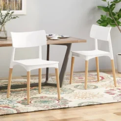 Set Of 2 Margaretta Modern Dining Chairs - Christopher Knight Home